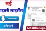 Driving Licence Download