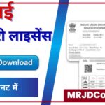 Driving Licence Download